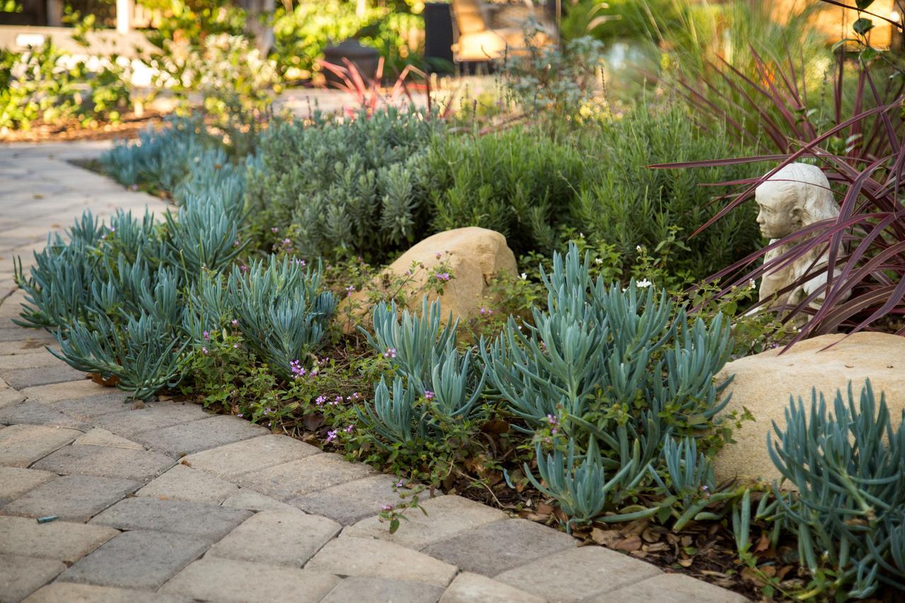 Cheshire Cat Inn & Cottages Santa Barbara Luaran gambar