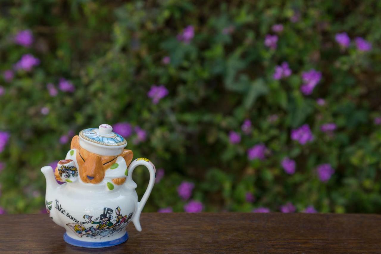 Cheshire Cat Inn & Cottages Santa Barbara Luaran gambar